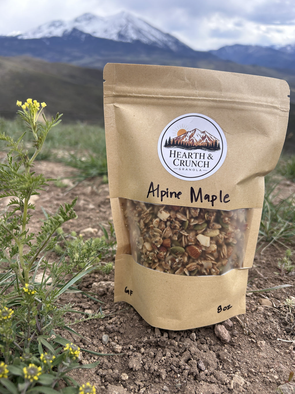 Alpine Maple